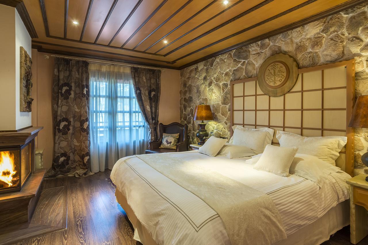 Aroma Dryos Spa & Eco Hotel เมทโซโว ภายนอก รูปภาพ